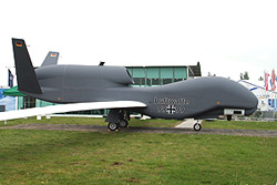 Plastic Global Hawk