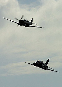 Spitfire & Hawk