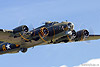 Sally B