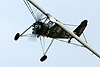 Storch