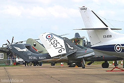 Navy tails - pic by Damien