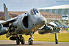 Sea Harrier (pic by Damien)