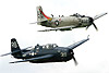 Avenger & Skyraider
