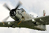 Skyraider