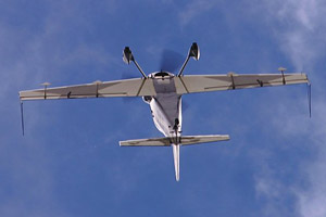 Diana Britten hanging around