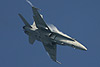 Finnish AF F/A-18C