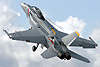 US Navy F/A-18F