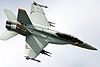 US Navy F/A-18F