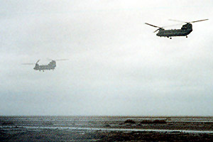 Chinooks attack!