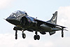 Harrier T8