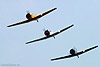 Harvards