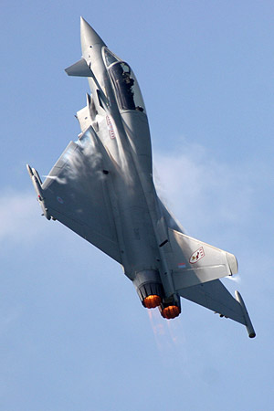 Typhoon, star of the show. Pic by Tony