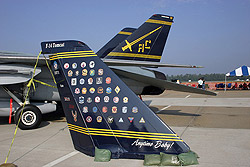 Former Tomcat units celebrated - pic by Paul