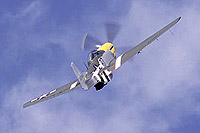 Frankie in its element. Pic by  Dave