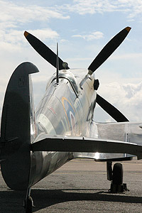 Spitfire at rest. Pic by Mike