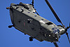 Chinook