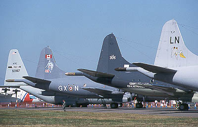 Tails, tails, everywhere...