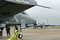 The 81st may have been the favourites, but did complacency let them down?