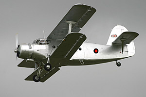 Mock-up of how the Royal Flight An-2 may look