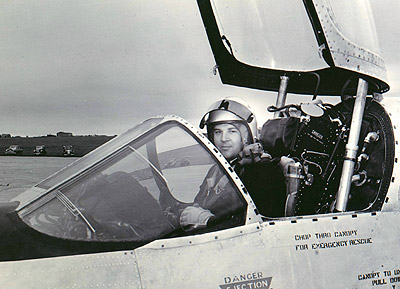 Bee in the cockpit of the P1